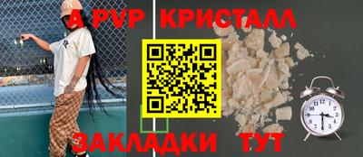 стафф Донской