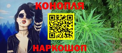 стафф Донской