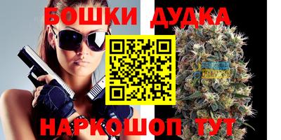 спиды Дубна