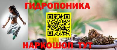 стафф Донской