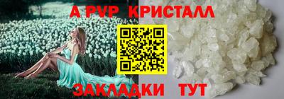 спиды Дубна