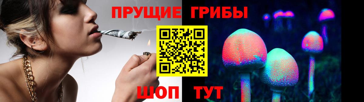 продажа наркотиков  Псилоцибиновые грибы мицелий  Вход с VPN  Псилоцибиновые грибы Cubensis  Малоярославец 